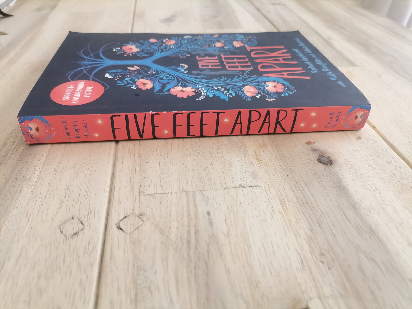 Five Feet Apart by Rachael Lippincott & Mikki Daughtry