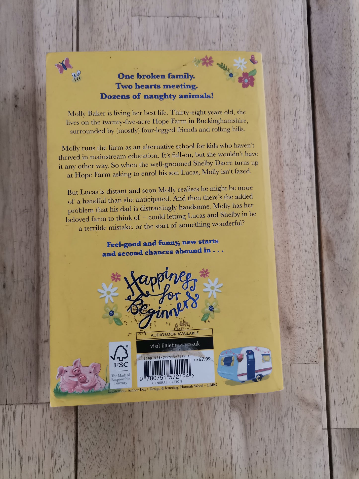Happiness for Beginners – Carole Matthews