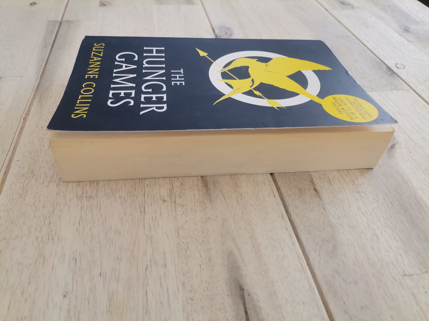 The Hunger Games – Suzanne Collins