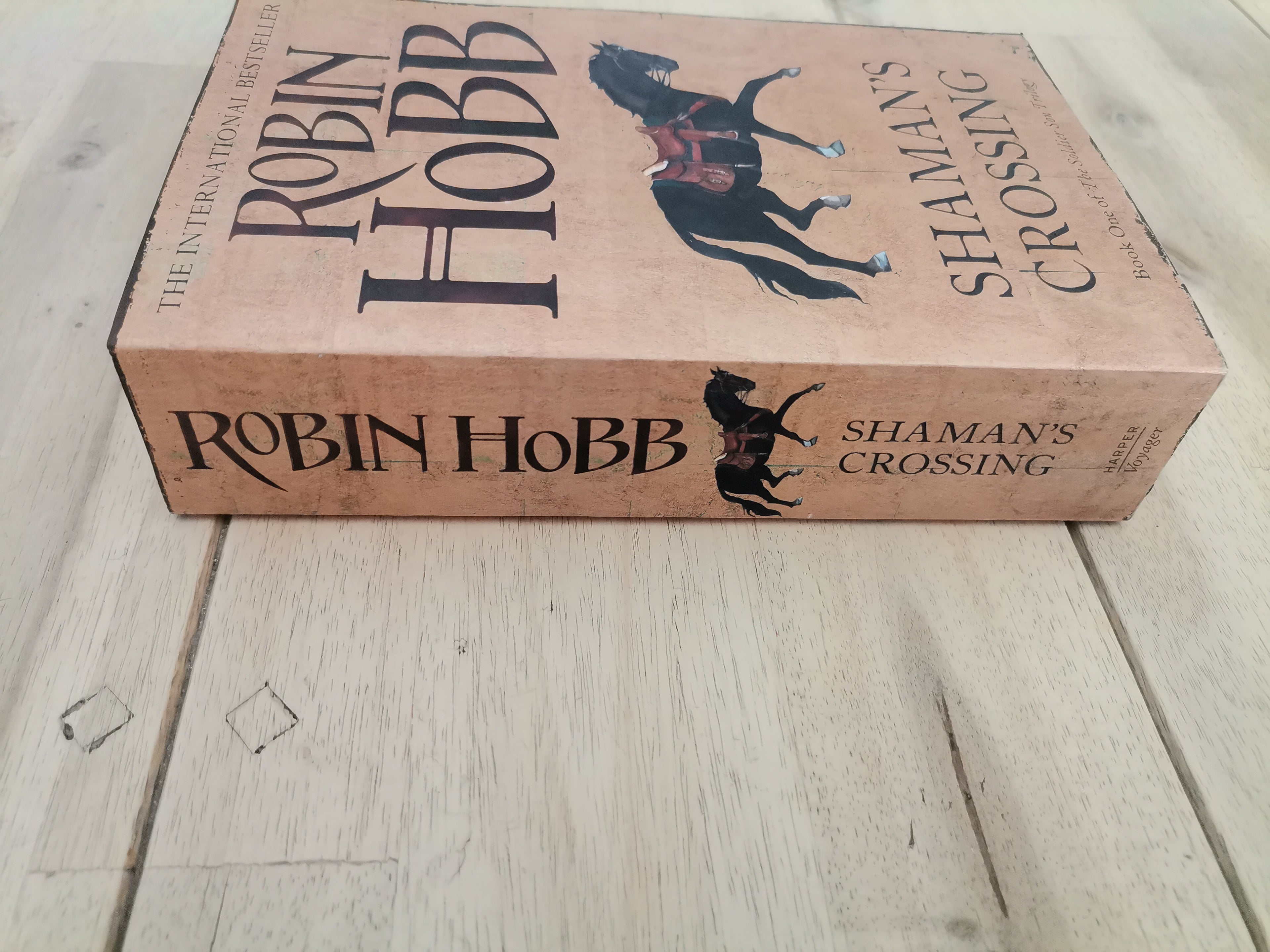 Shaman's Crossing by Robin Hobb, book one of the Soldier's Son trilogy