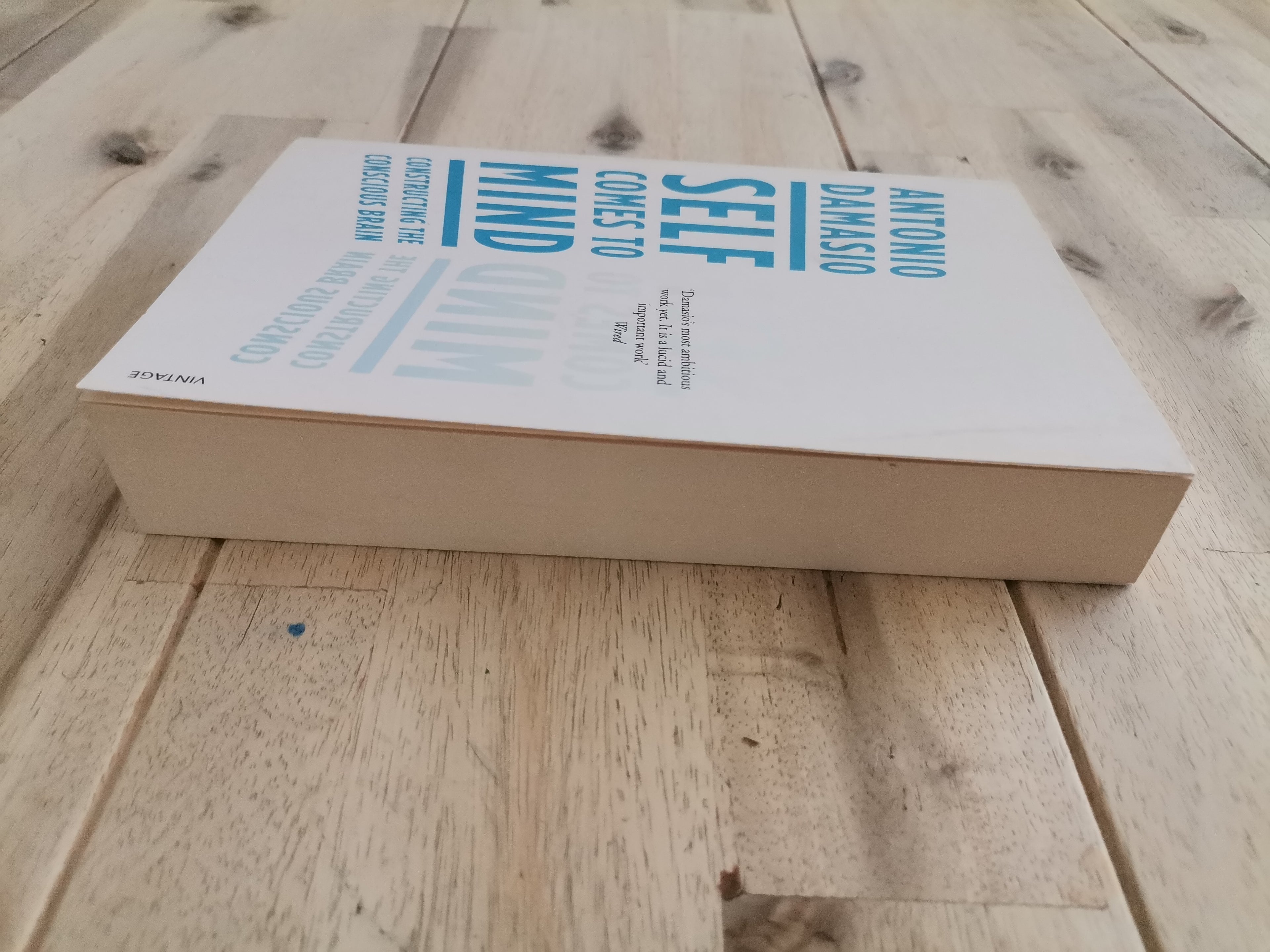 Self Comes to Mind – Antonio Damasio