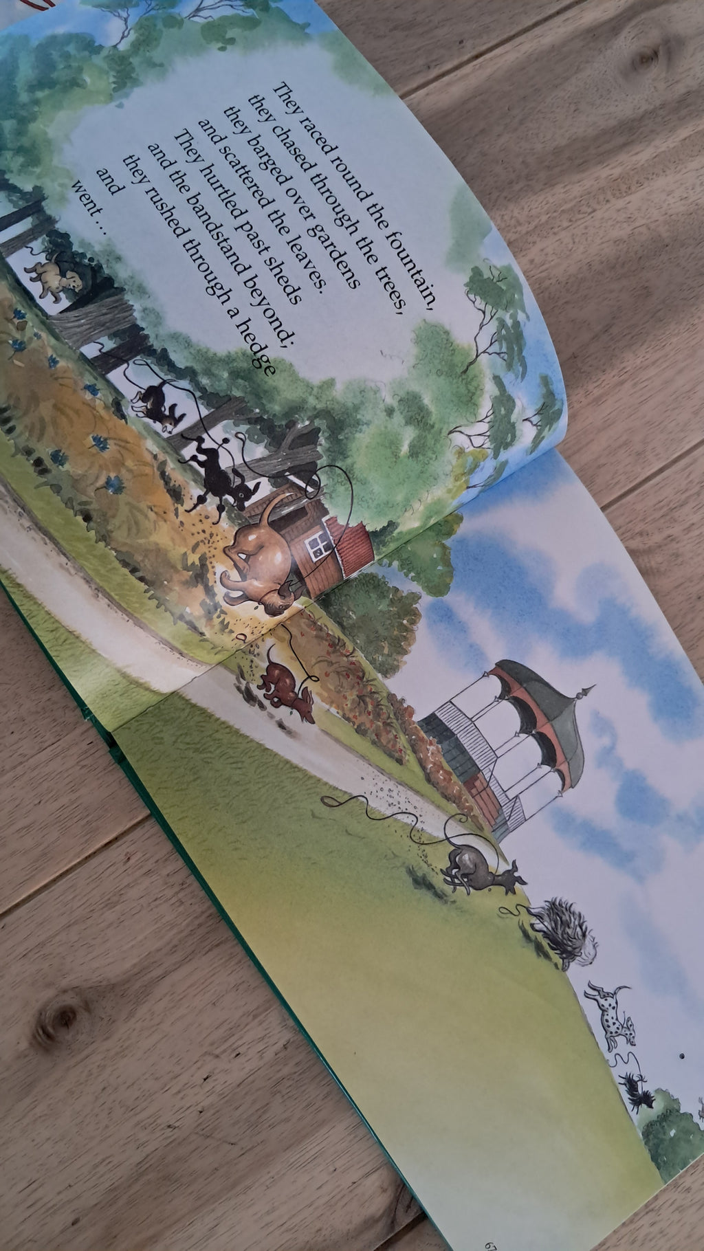 Hairy Maclary and Friends: 5 More Lynley Dodd Stories – Lynley Dodd