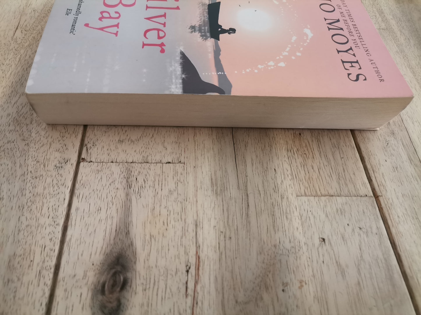 Silver Bay by Jojo Moyes