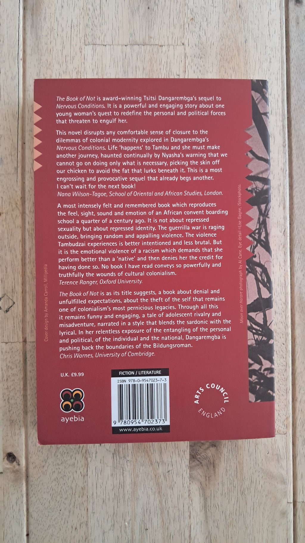 The Book of Not – Tsitsi Dangarembga