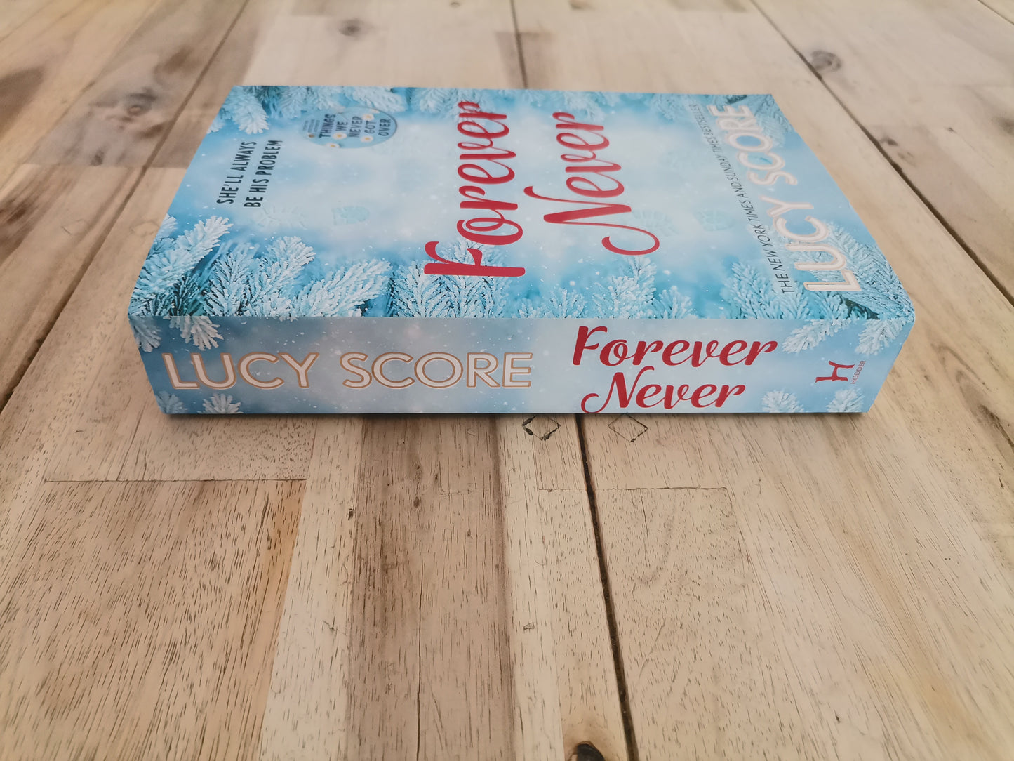 Forever Never – Lucy Score