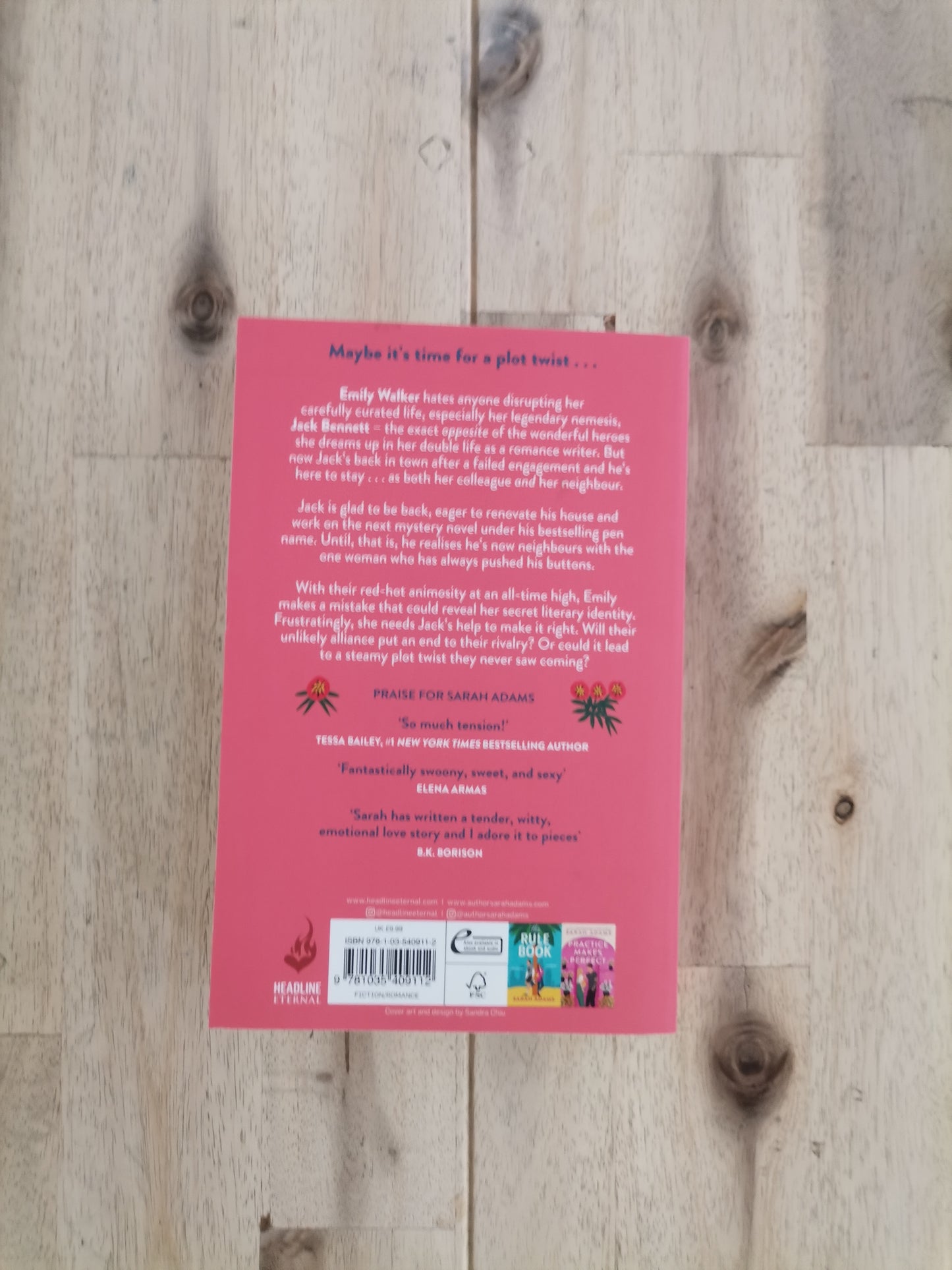 Beg, Borrow or Steal – Sarah Adams