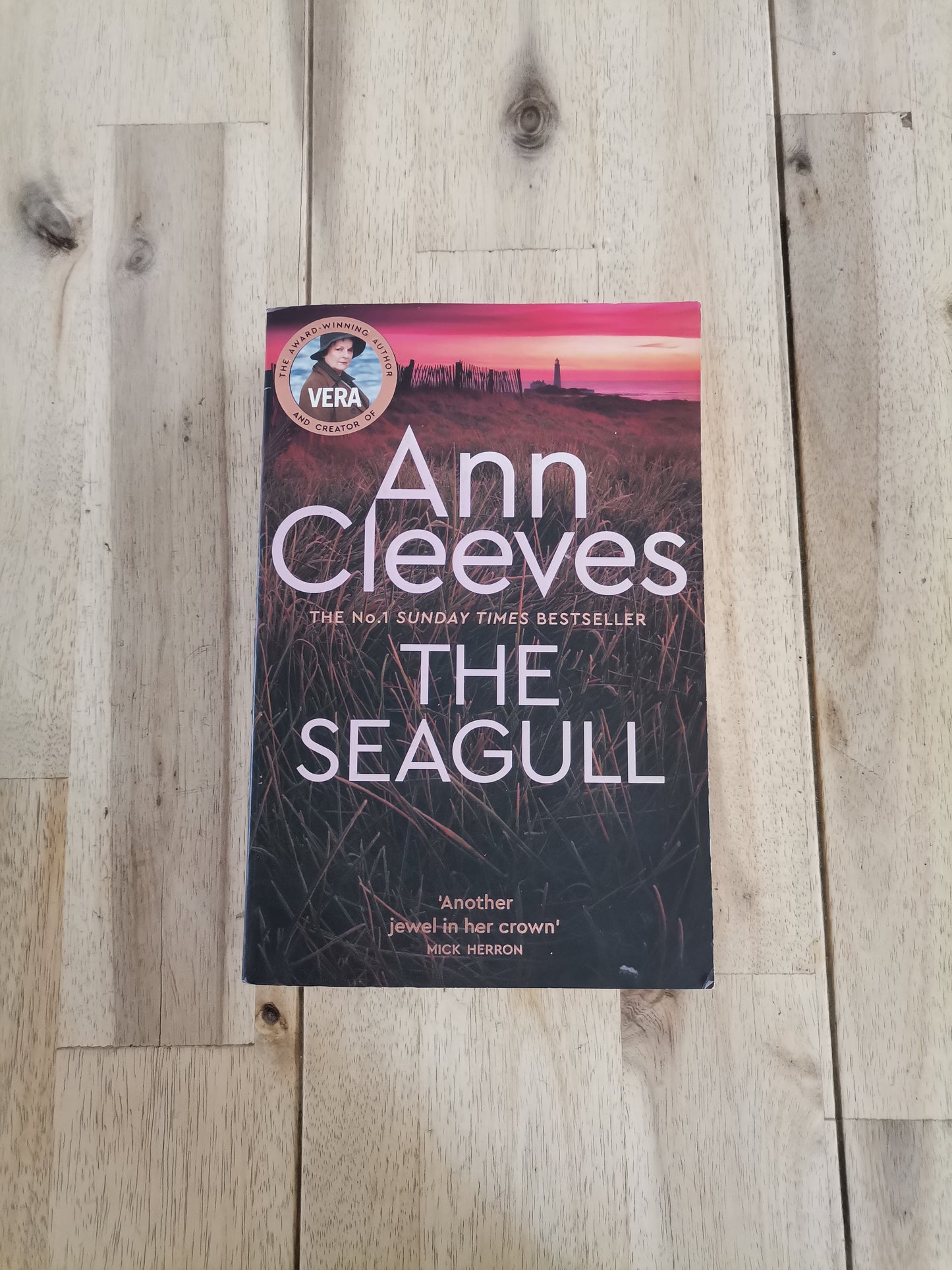 The Seagull – Ann Cleeves