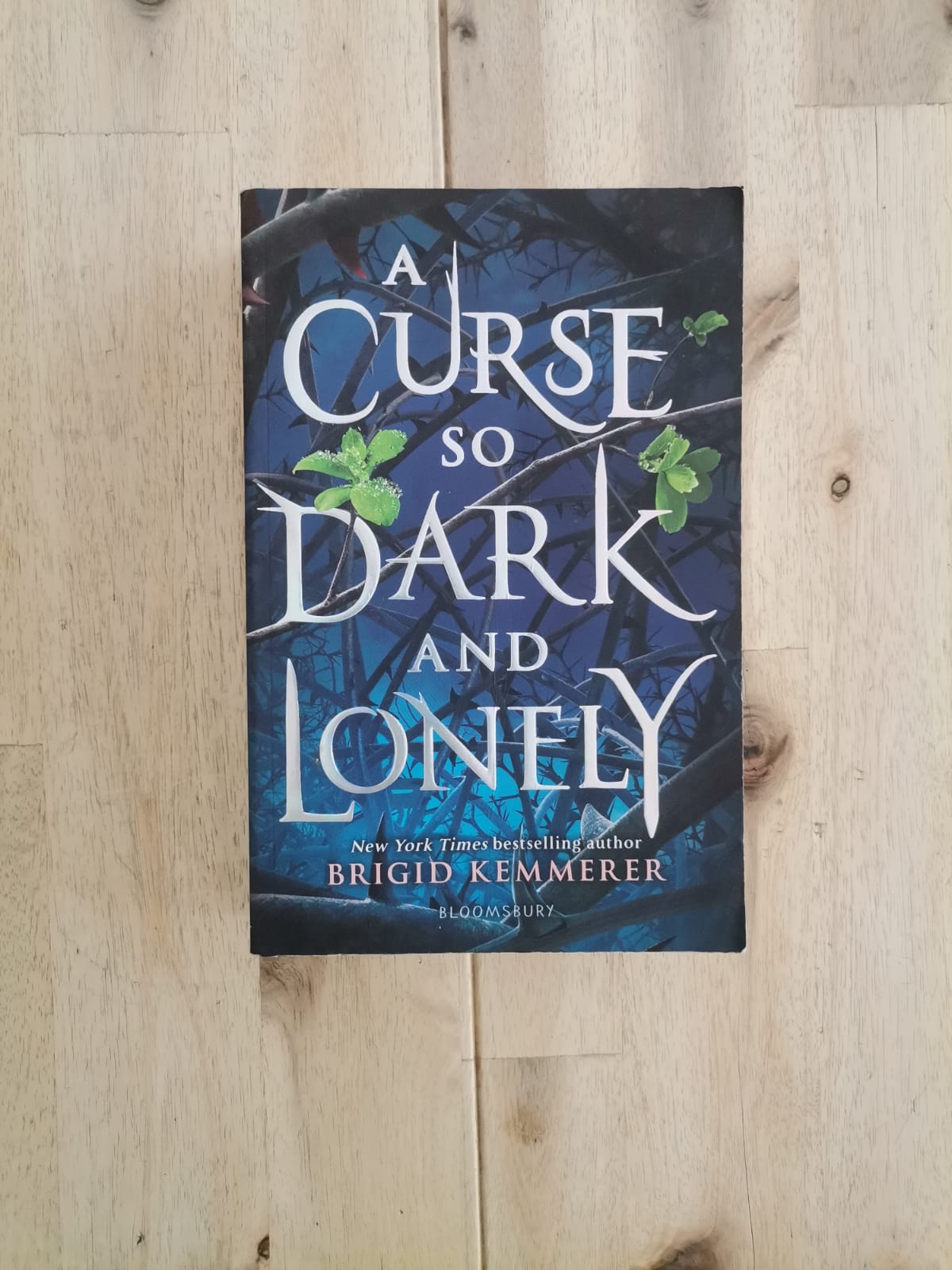 A Curse So Dark and Lonely – Brigid Kemmerer