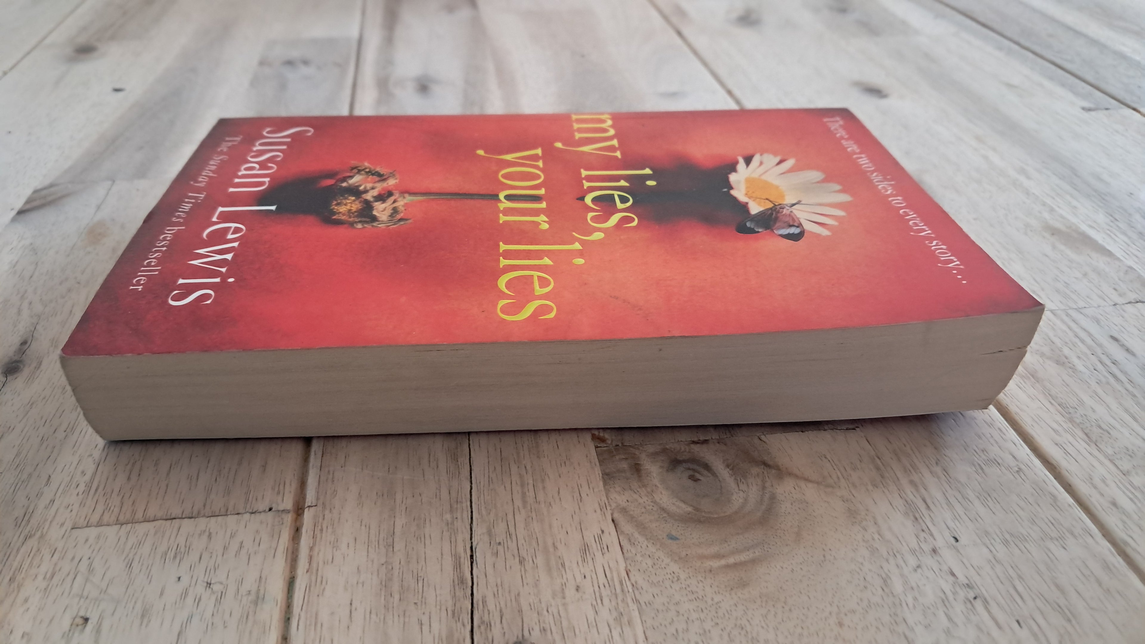 My Lies, Your Lies – Susan Lewis