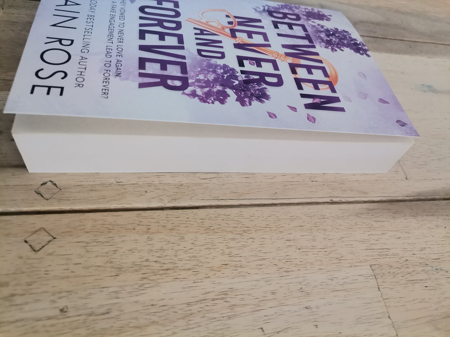 Between Never and Forever by Shaine Rose
