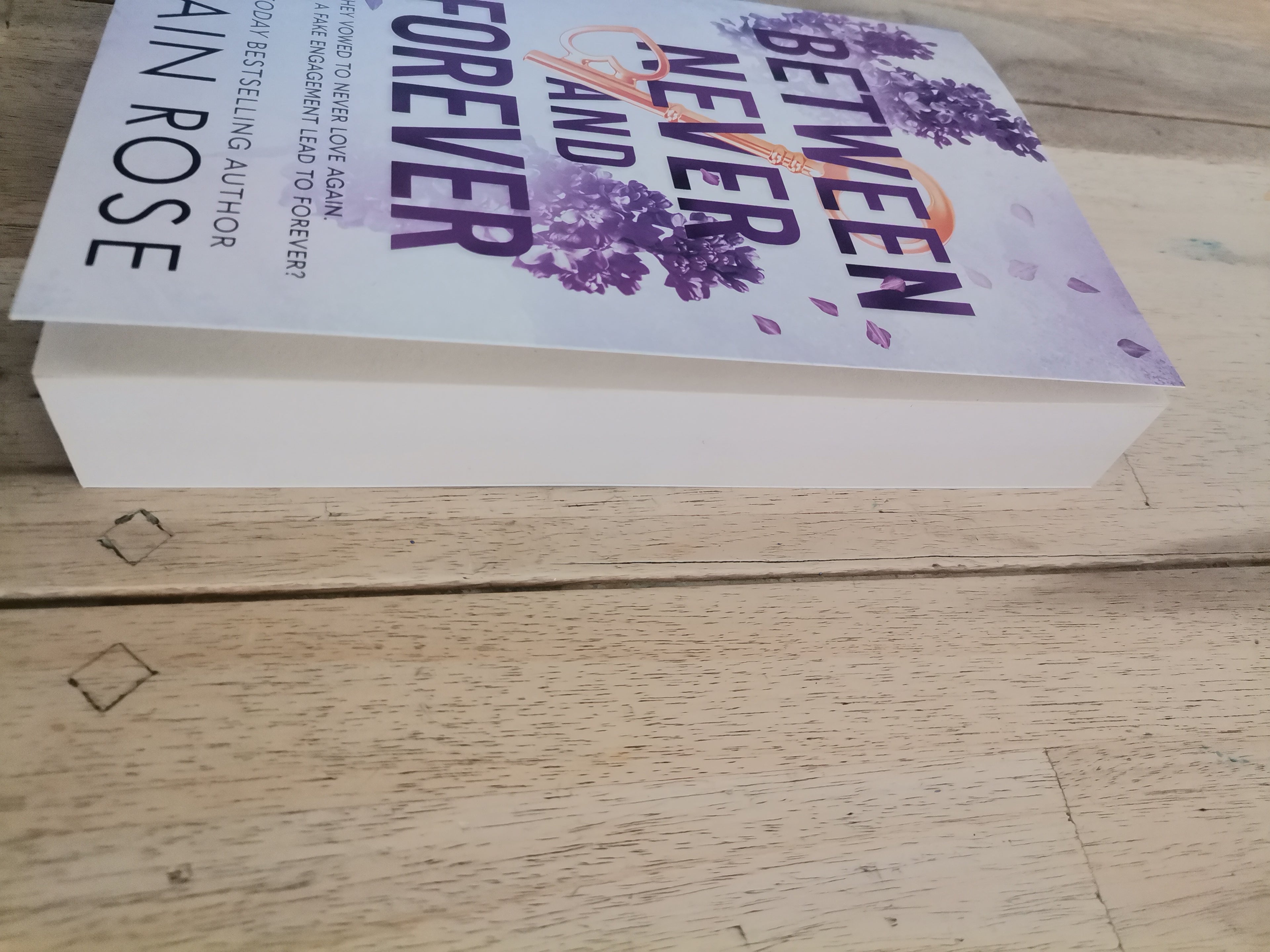 Between Never and Forever by Shaine Rose