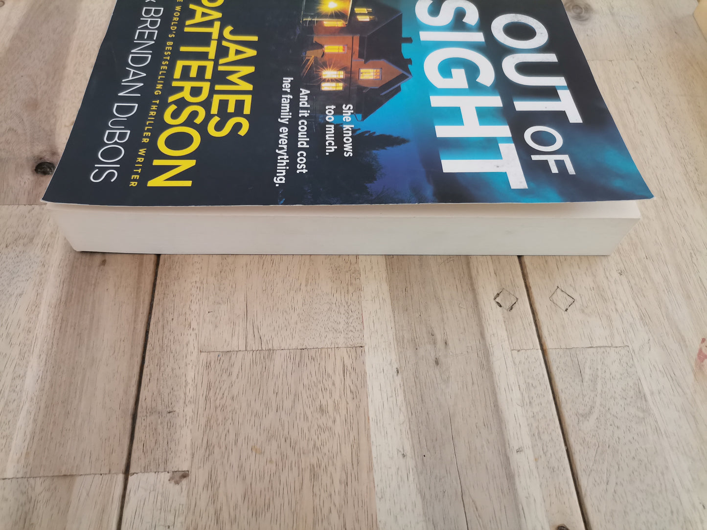 Out of Sight by James Patterson and Brendan DuBois - Trade Paperback