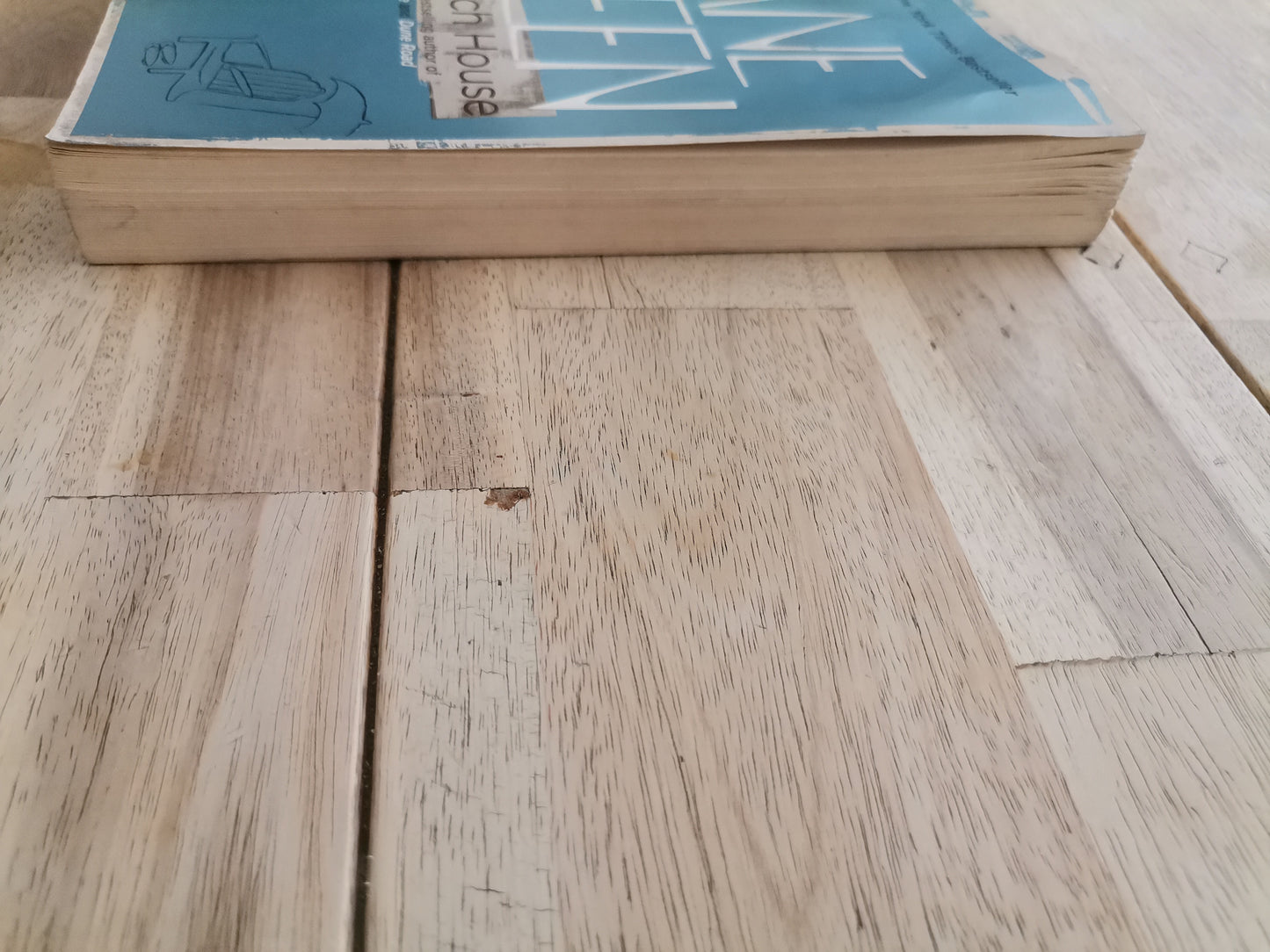 The Beach House by Jane Green