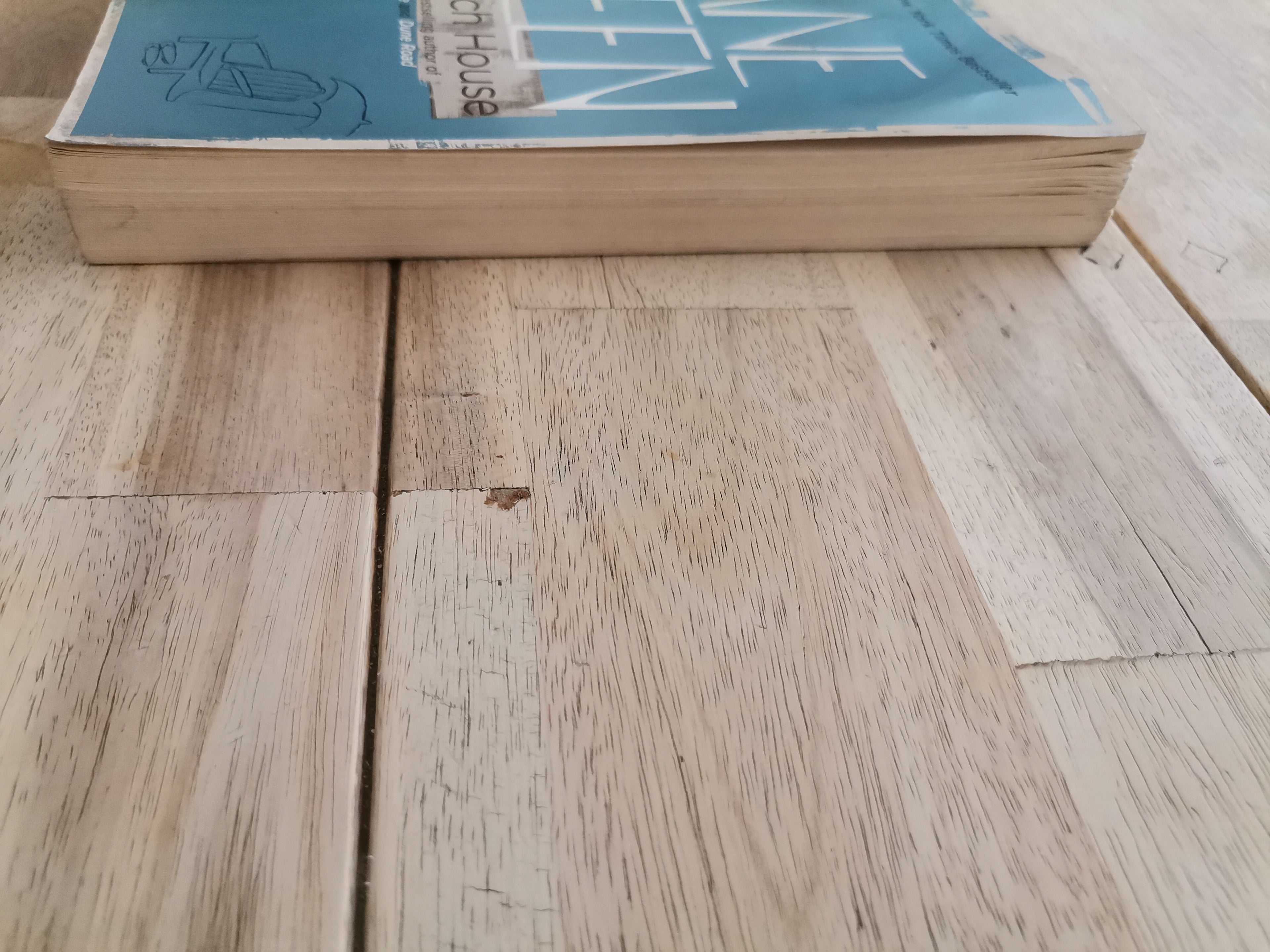 The Beach House by Jane Green