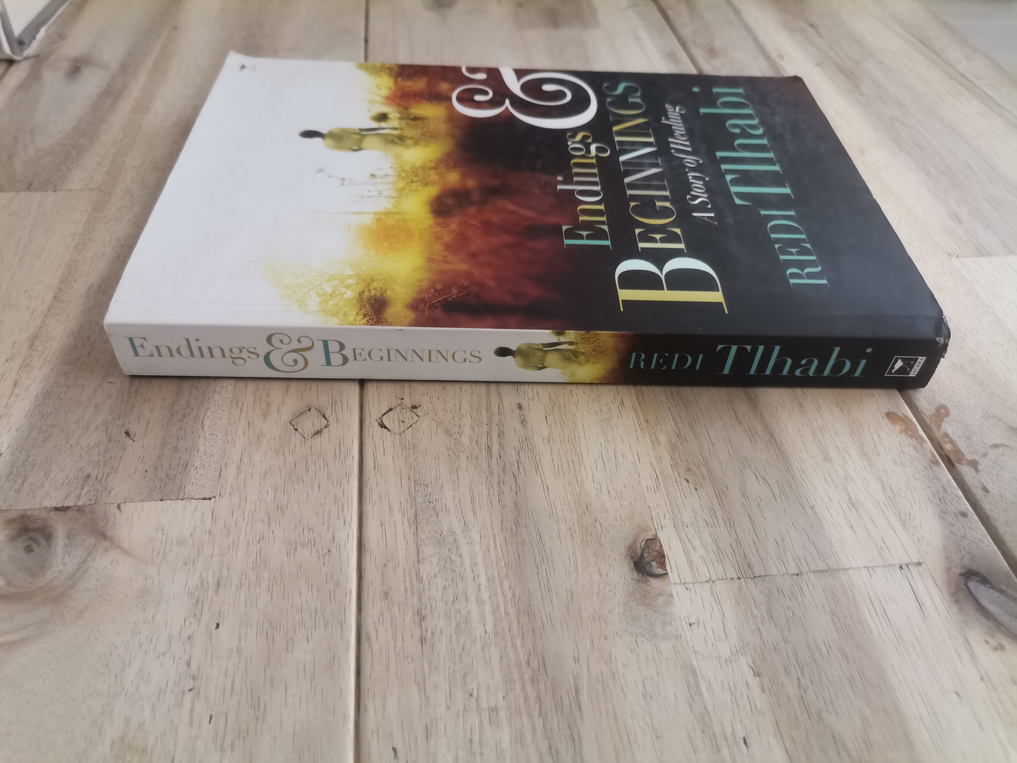 Endings and Beginnings by Redi Tlhabi