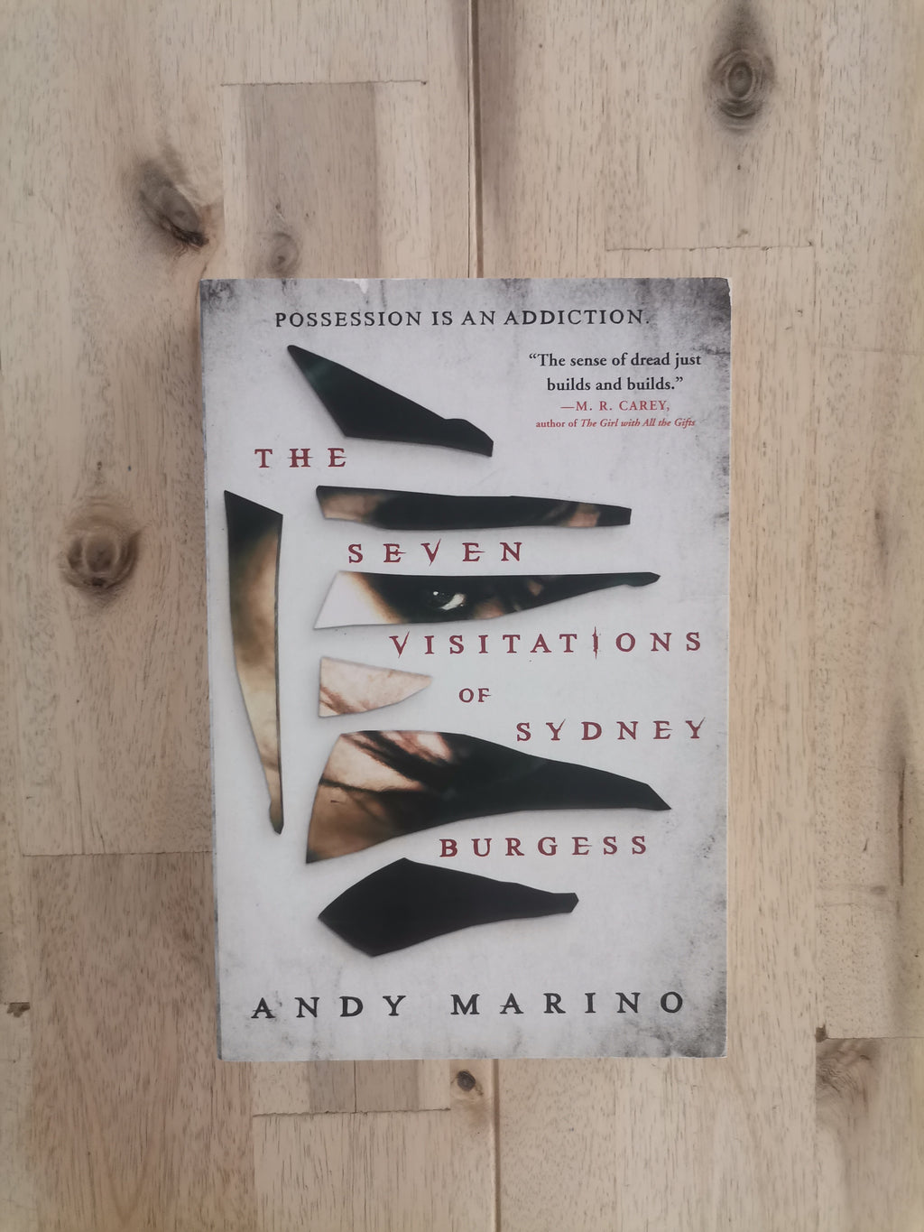 The Seven Visitations of Sydney Burgess – Andy Marino