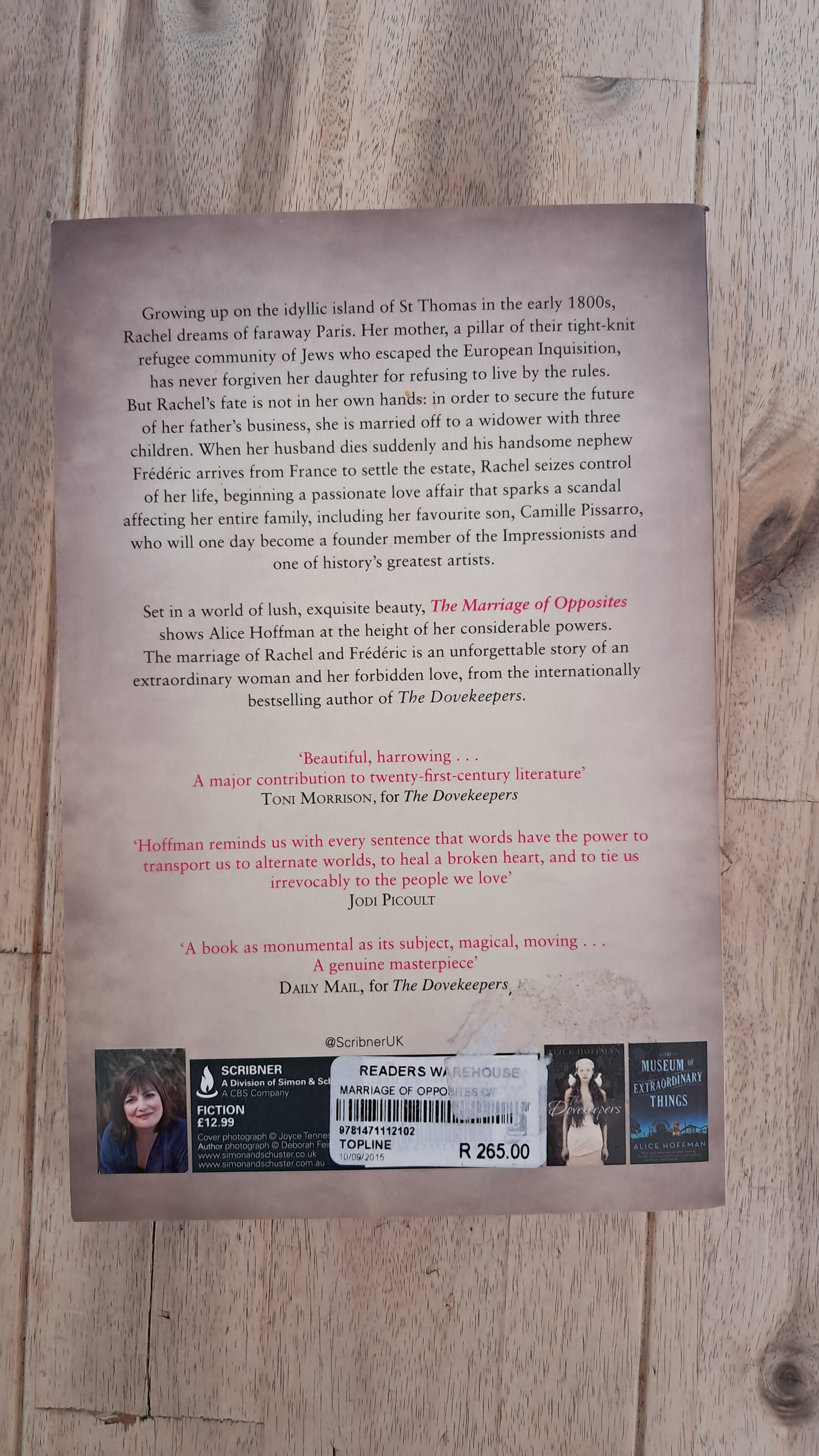 The Marriage of Opposites – Alice Hoffman