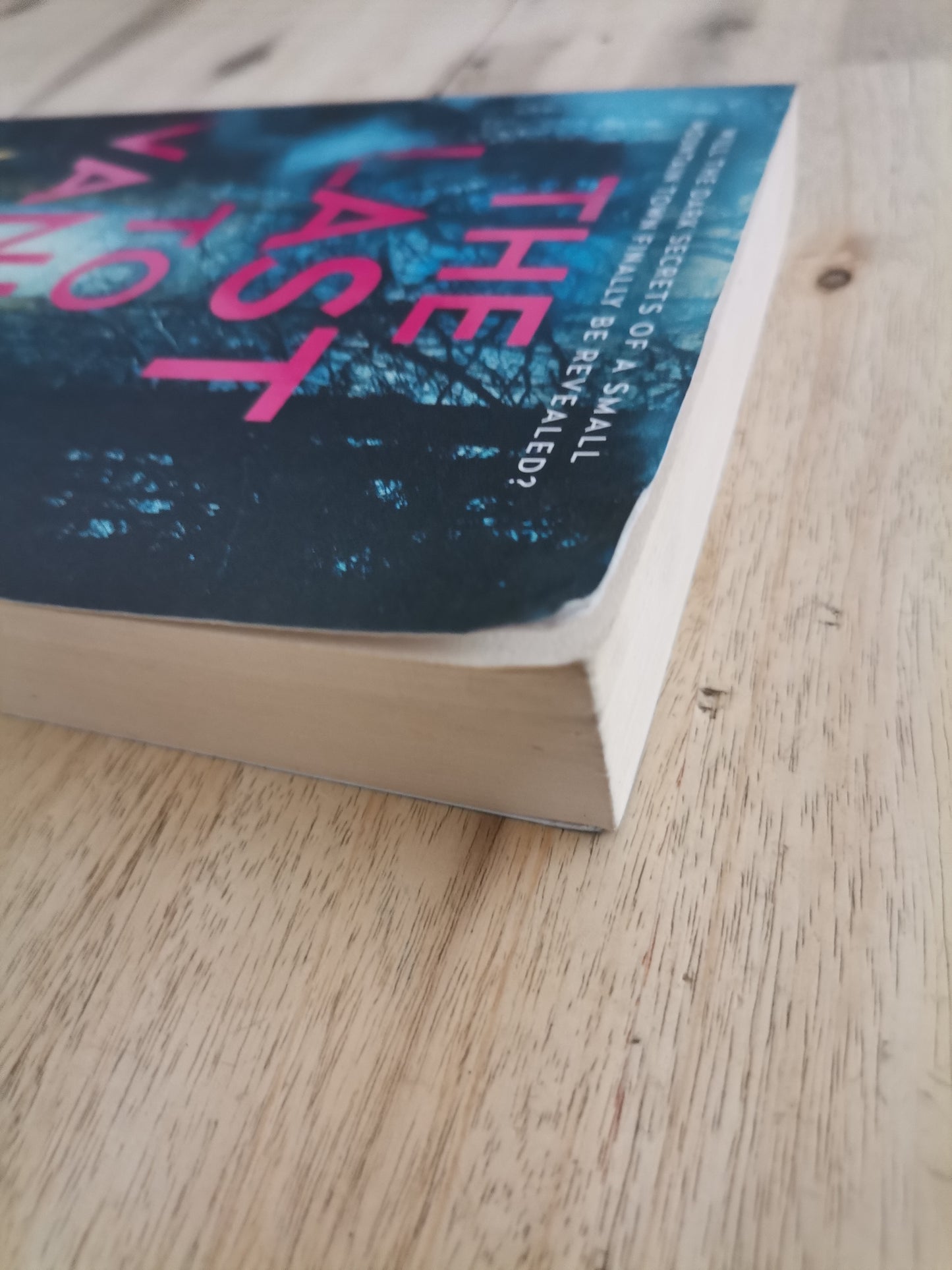 The Last to Vanish – Megan Miranda