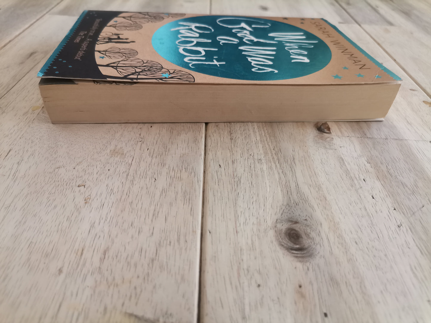 When God Was a Rabbit by Sarah Winman