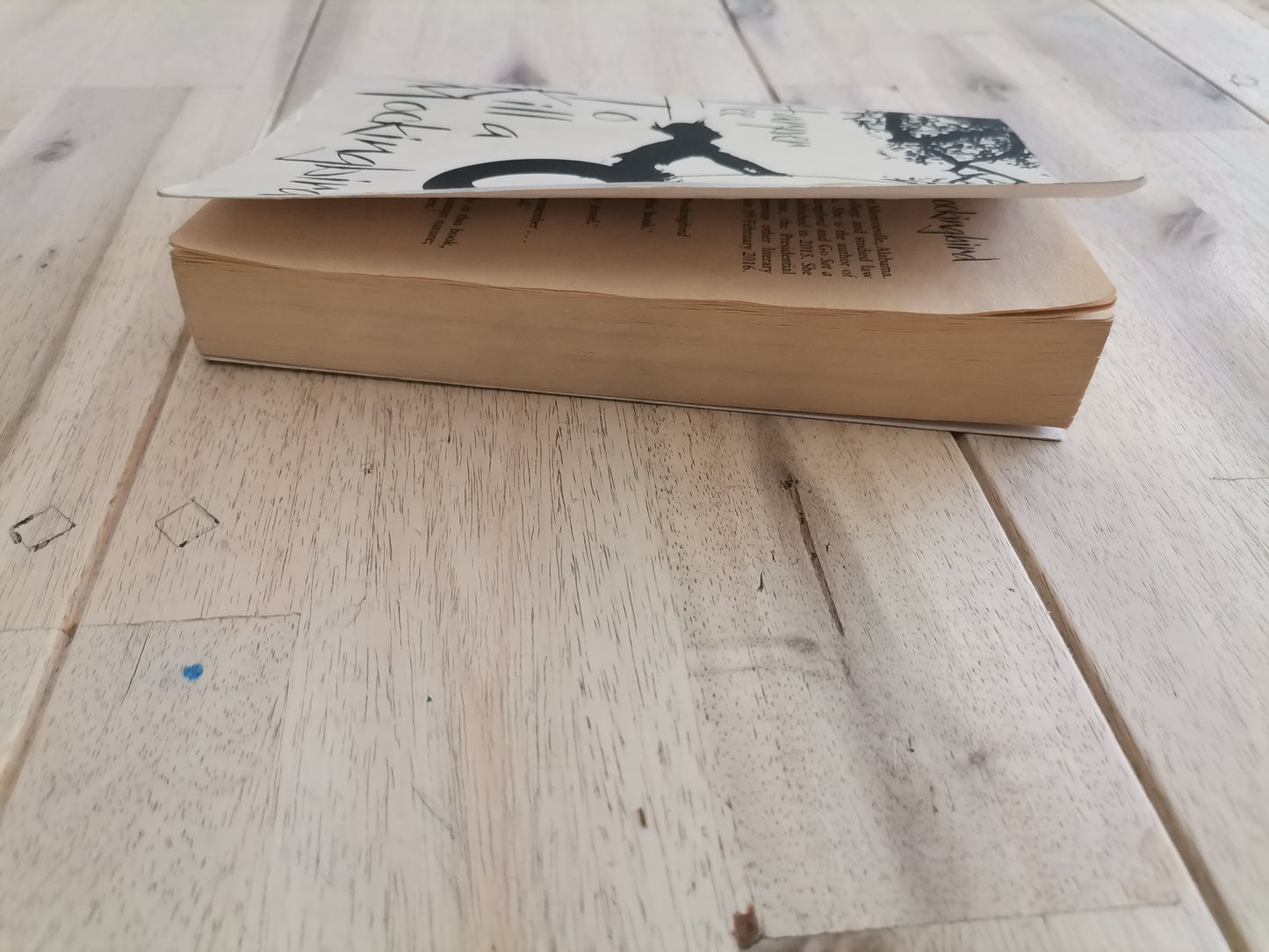 To Kill a Mockingbird – Harper Lee
