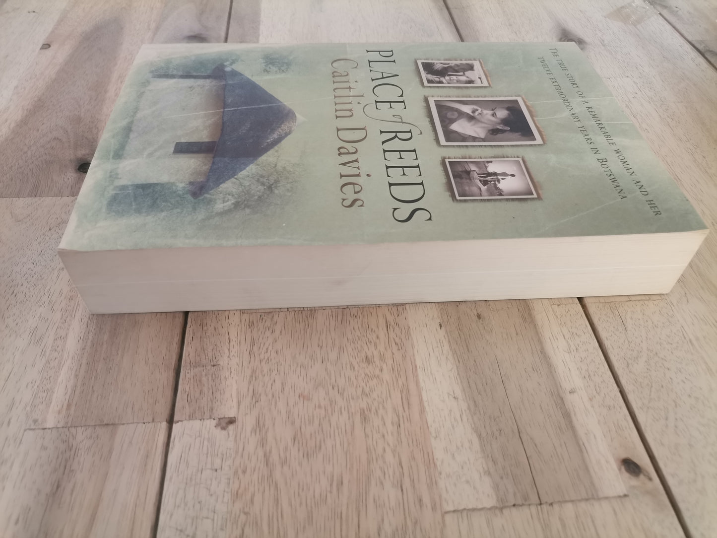 Place of Reeds - Caitlin Davies (Trade Paperback)
