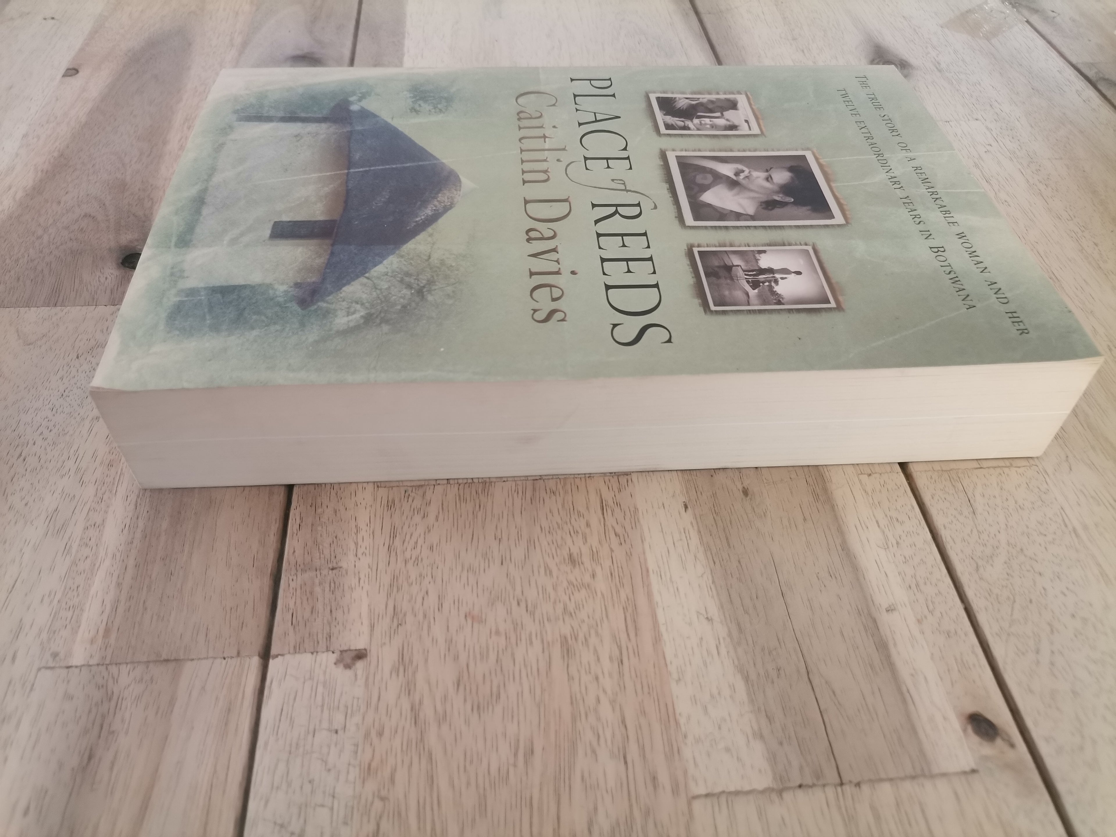 Place of Reeds - Caitlin Davies (Trade Paperback)