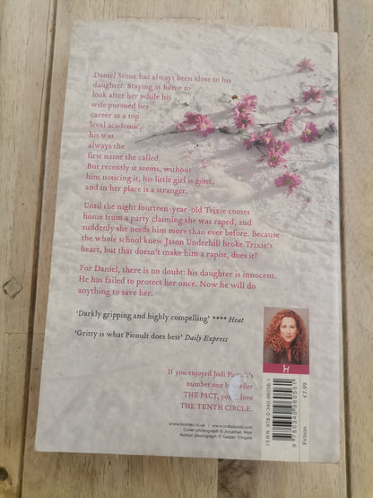 The Tenth Circle by Jodi Picoult