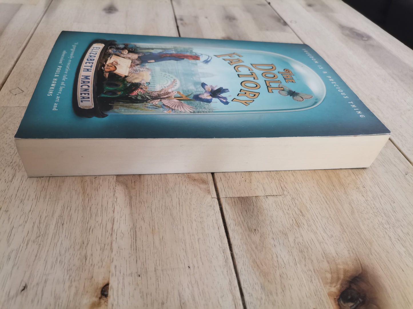 The Doll Factory – Elizabeth Macneal