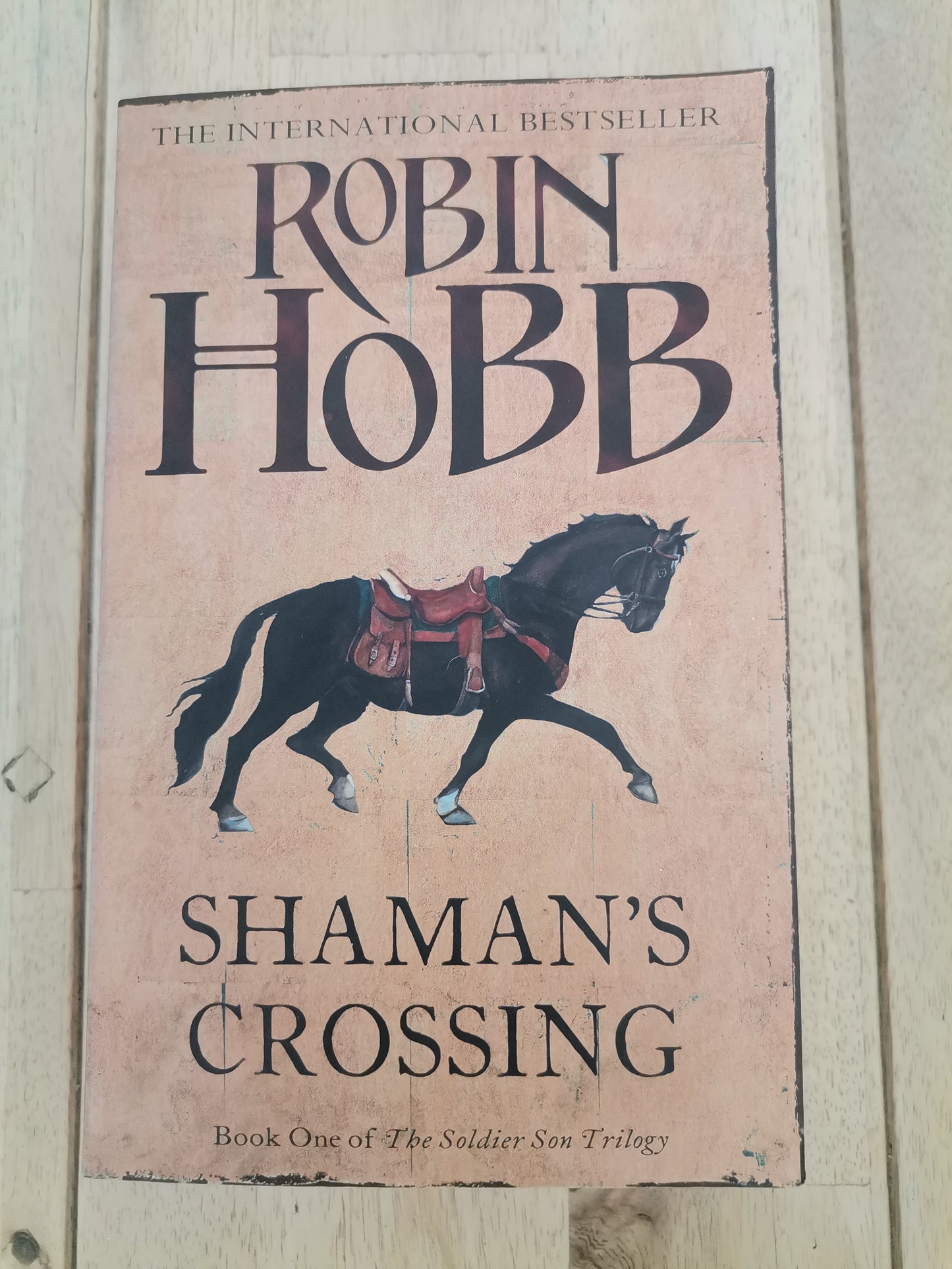 Shaman's Crossing by Robin Hobb, book one of the Soldier's Son trilogy