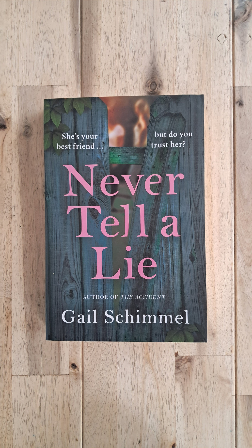Never Tell a Lie – Gail Schimmel