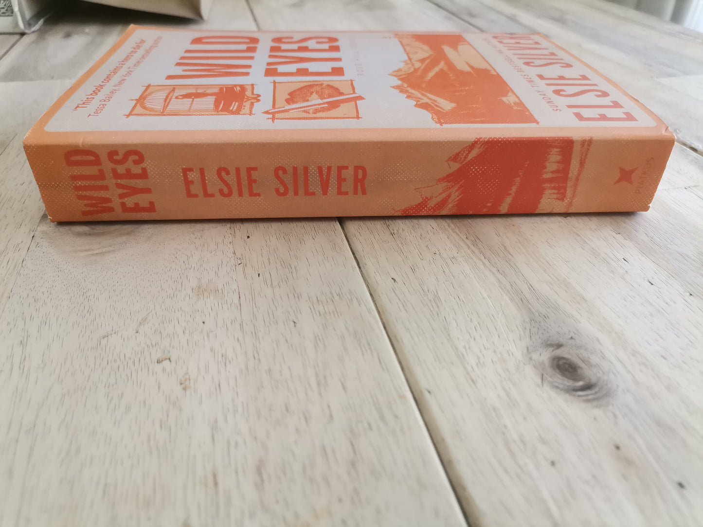 Wild Eyes by Elsie Silver