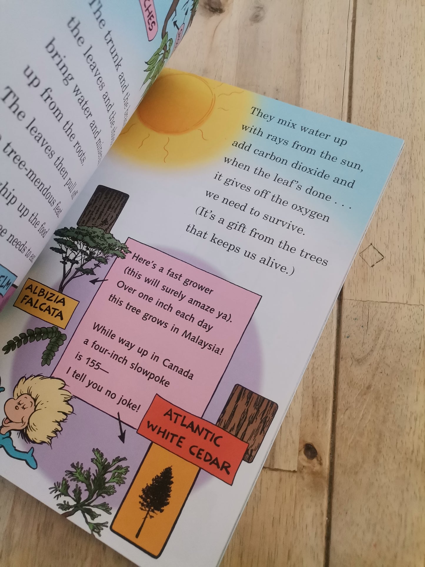 A whale of a Tale Dr. Seuss