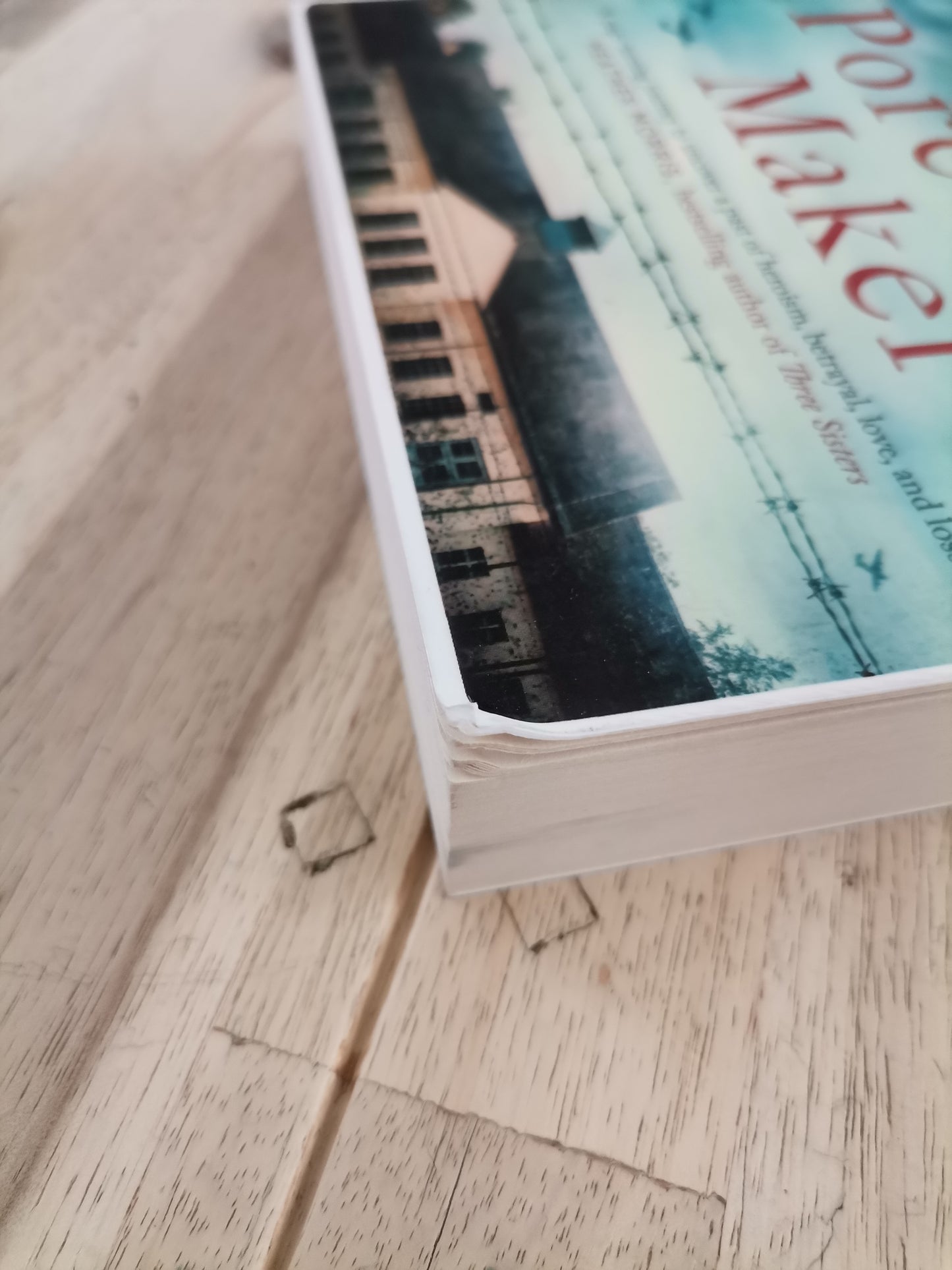 The Porcelain Maker – Sarah Freethy