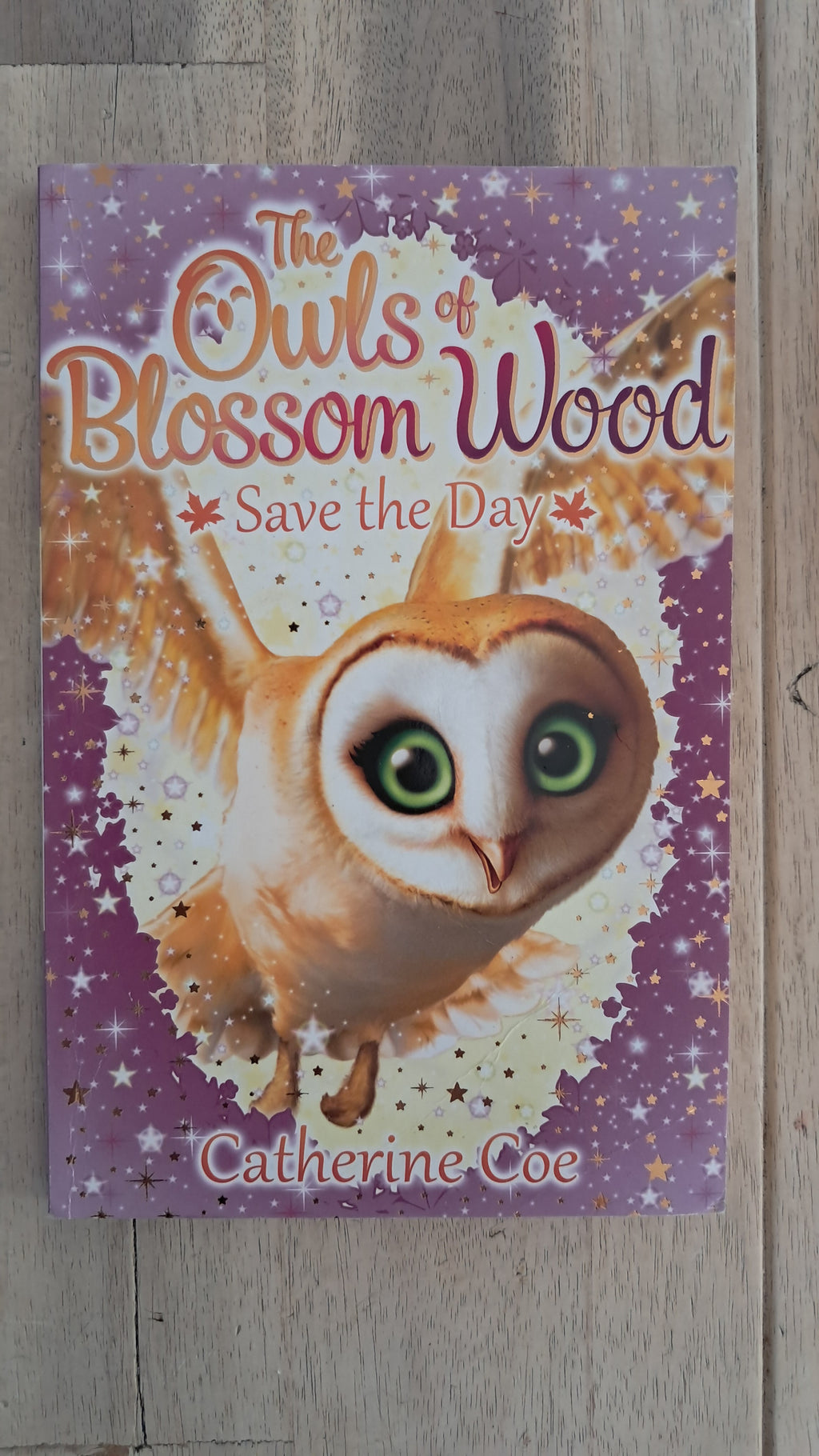 The Owls Of Blossom Wood: Save the Day – Catherine Coe