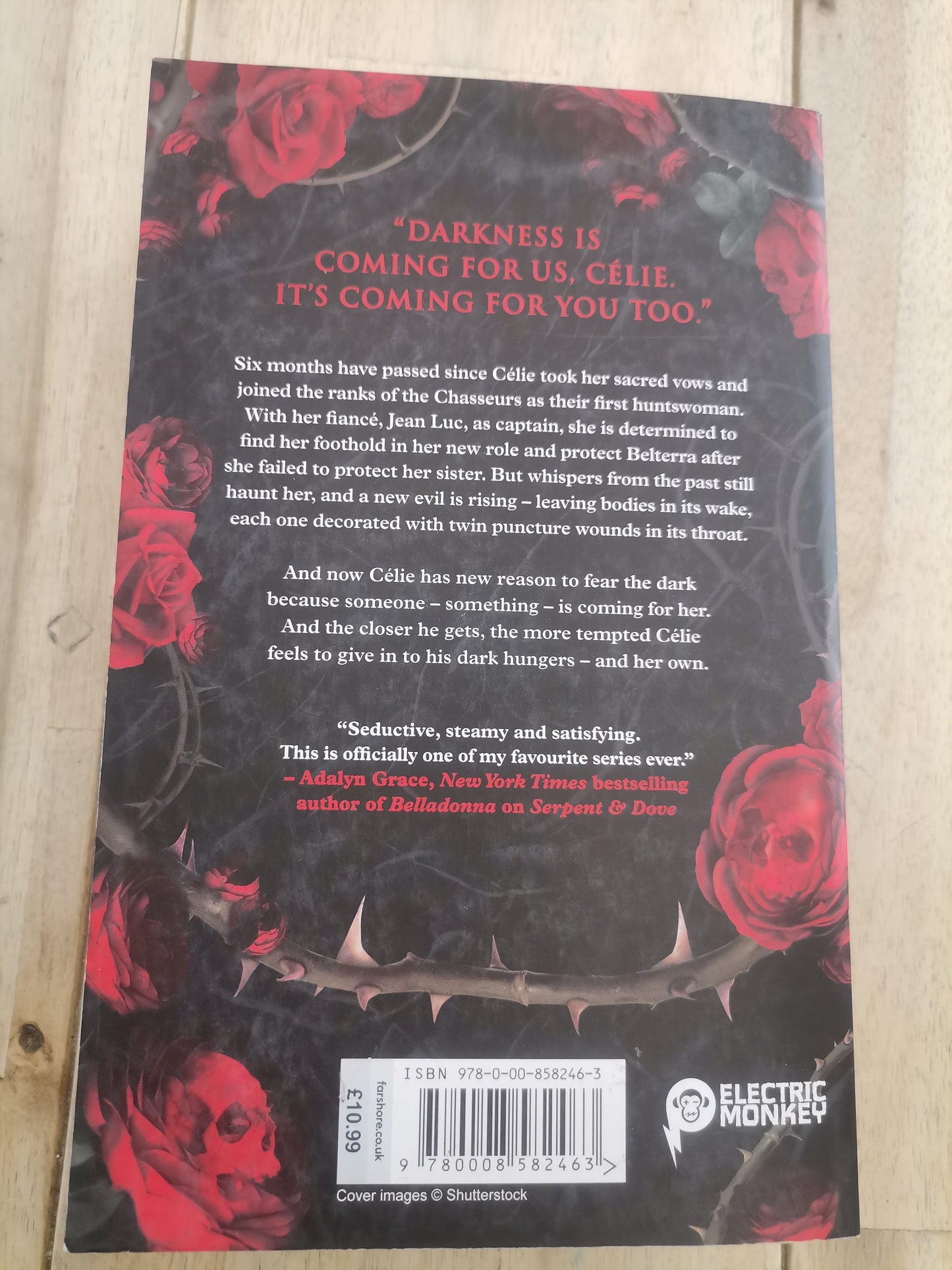 The Scarlet Veil by Shelby Mahurin