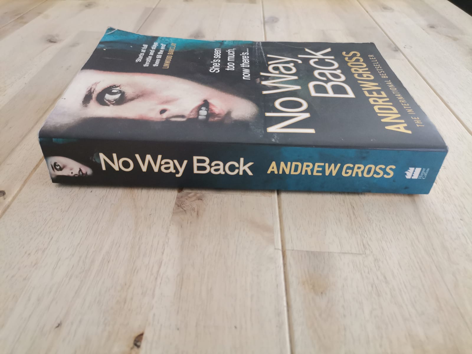 No Way Back – Andrew Gross