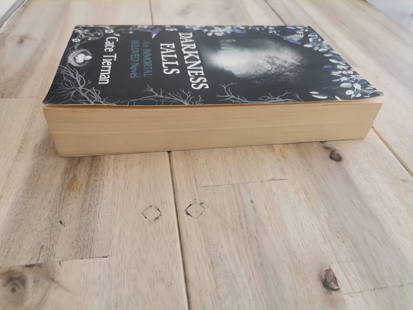 Darkness Falls by Cate Tiernan