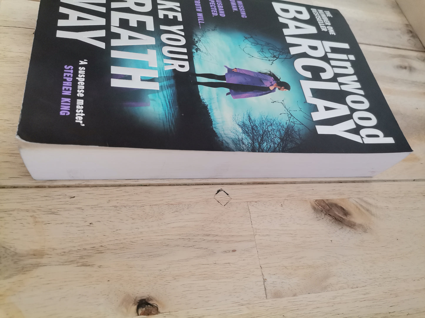 Take your breath away by Linwood Barclay