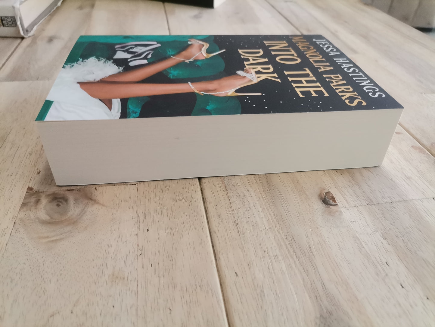 Magnolia Parks: Into the Dark by Jessa Hastings (Magnolia Parks Universe #5)