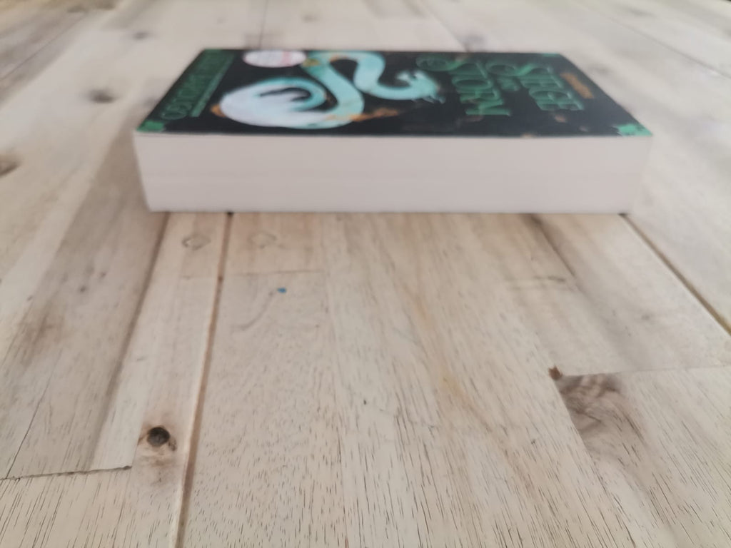 Siege and Storm – Leigh Bardugo