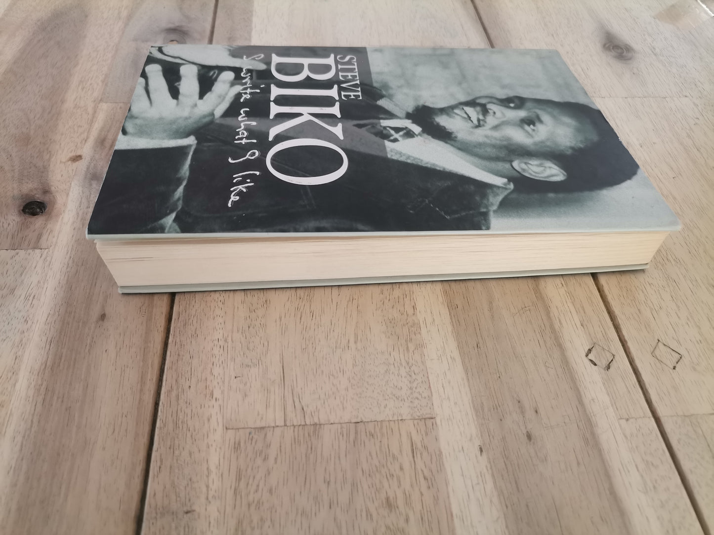 I Write What I Like by Steve Biko
