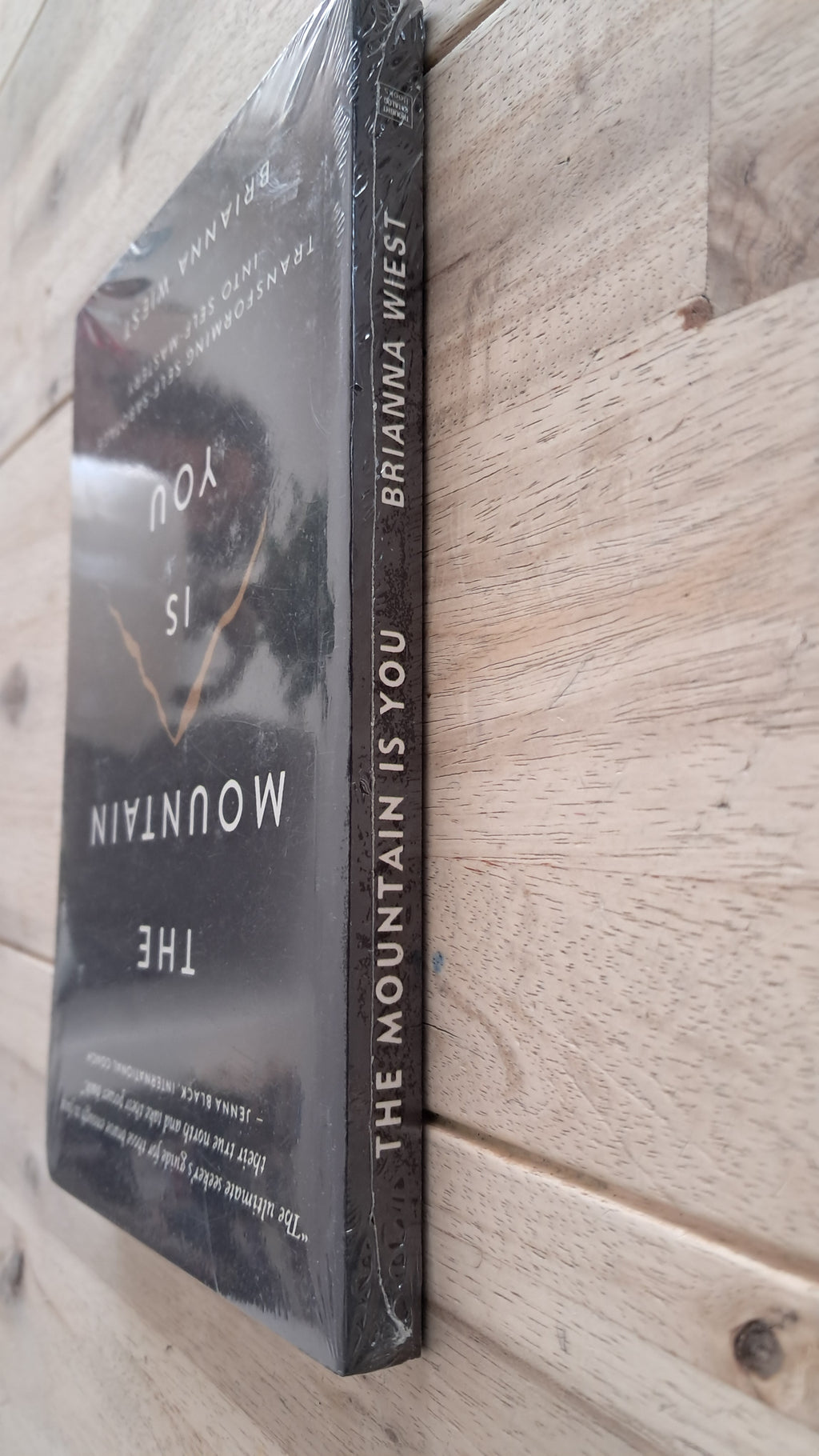 The Mountain Is You – Brianna West