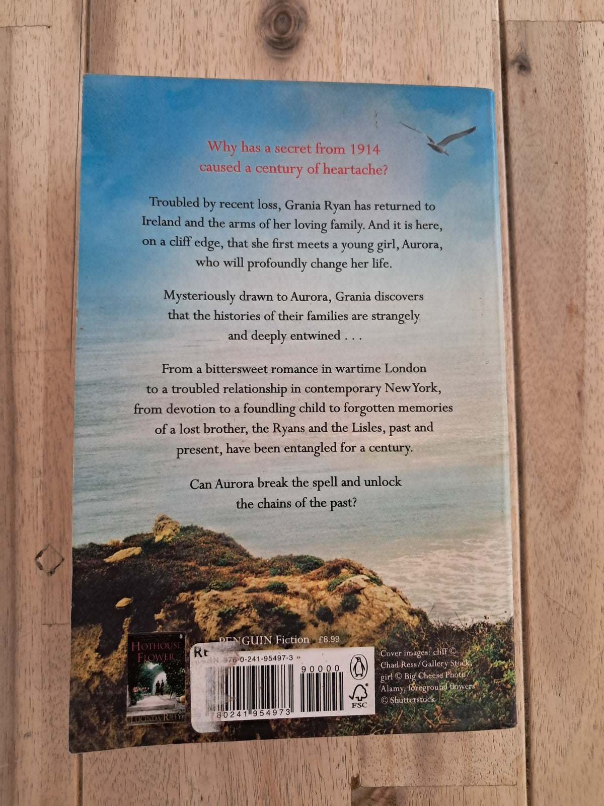 The Girl on the Cliff – Lucinda Riley