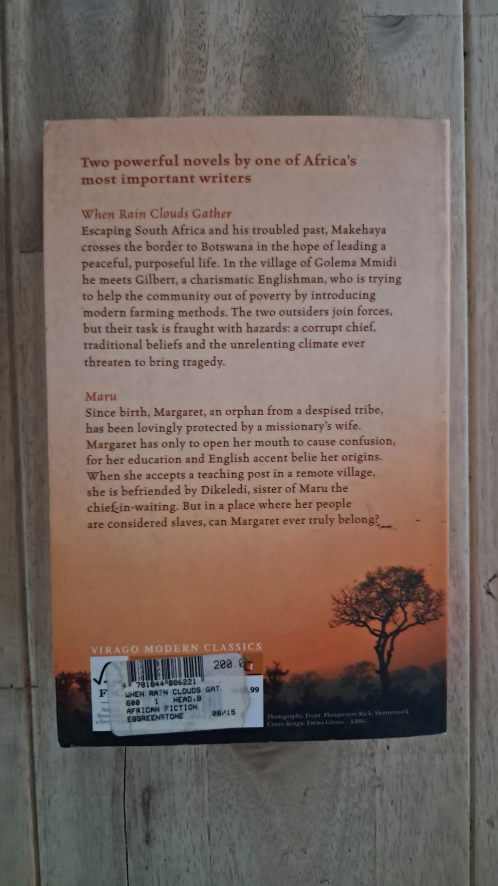 When Rain Clouds Gather & Maru – Bessie Head