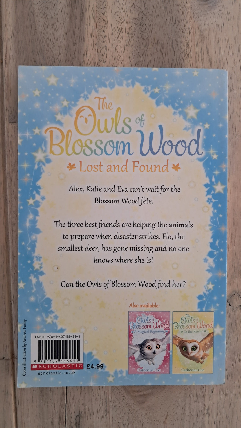 The Owls of Blossom Wood: Lost and Found – Catherine Coe