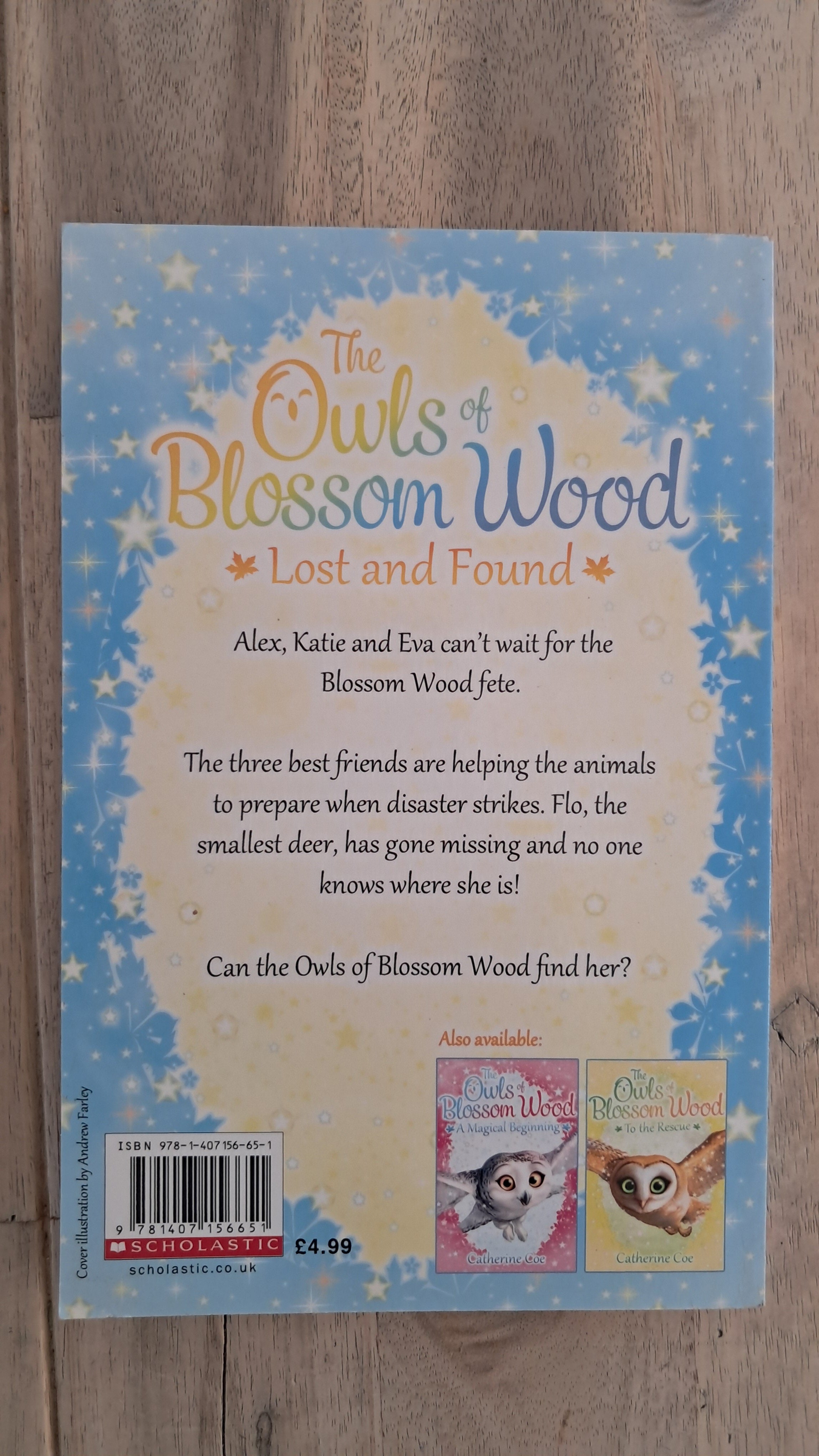 The Owls of Blossom Wood: Lost and Found – Catherine Coe