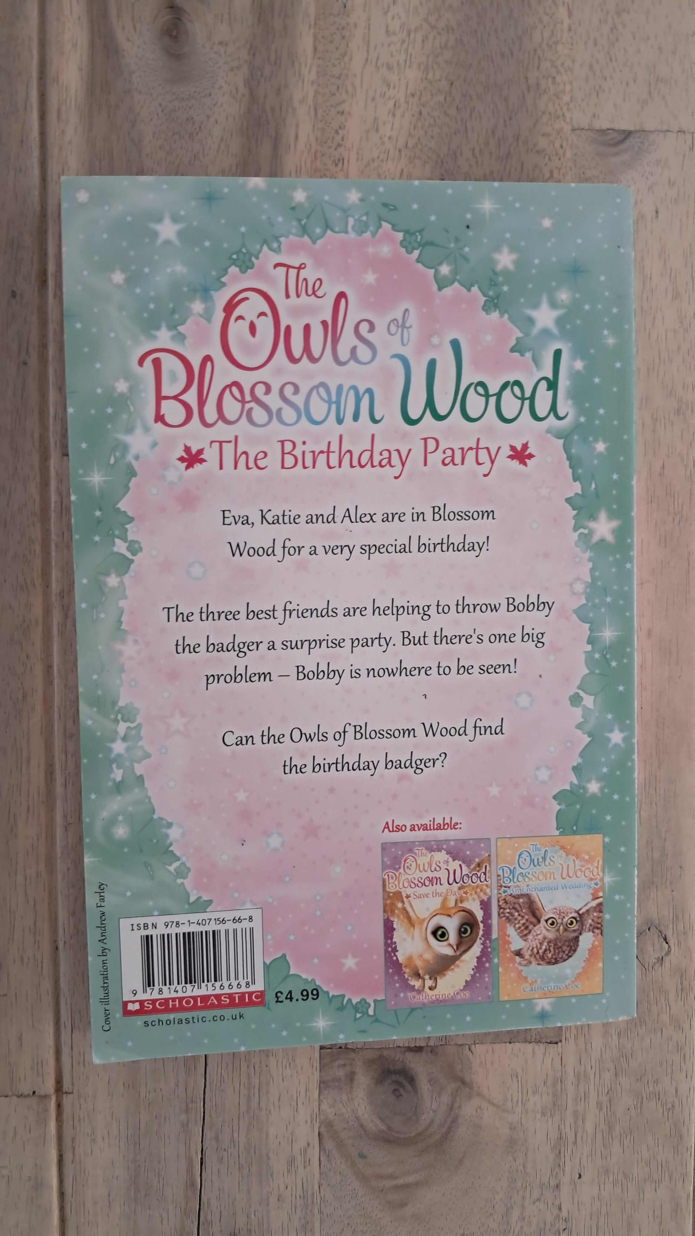 The Owls of Blossom Wood: The Birthday Party – Catherine Coe
