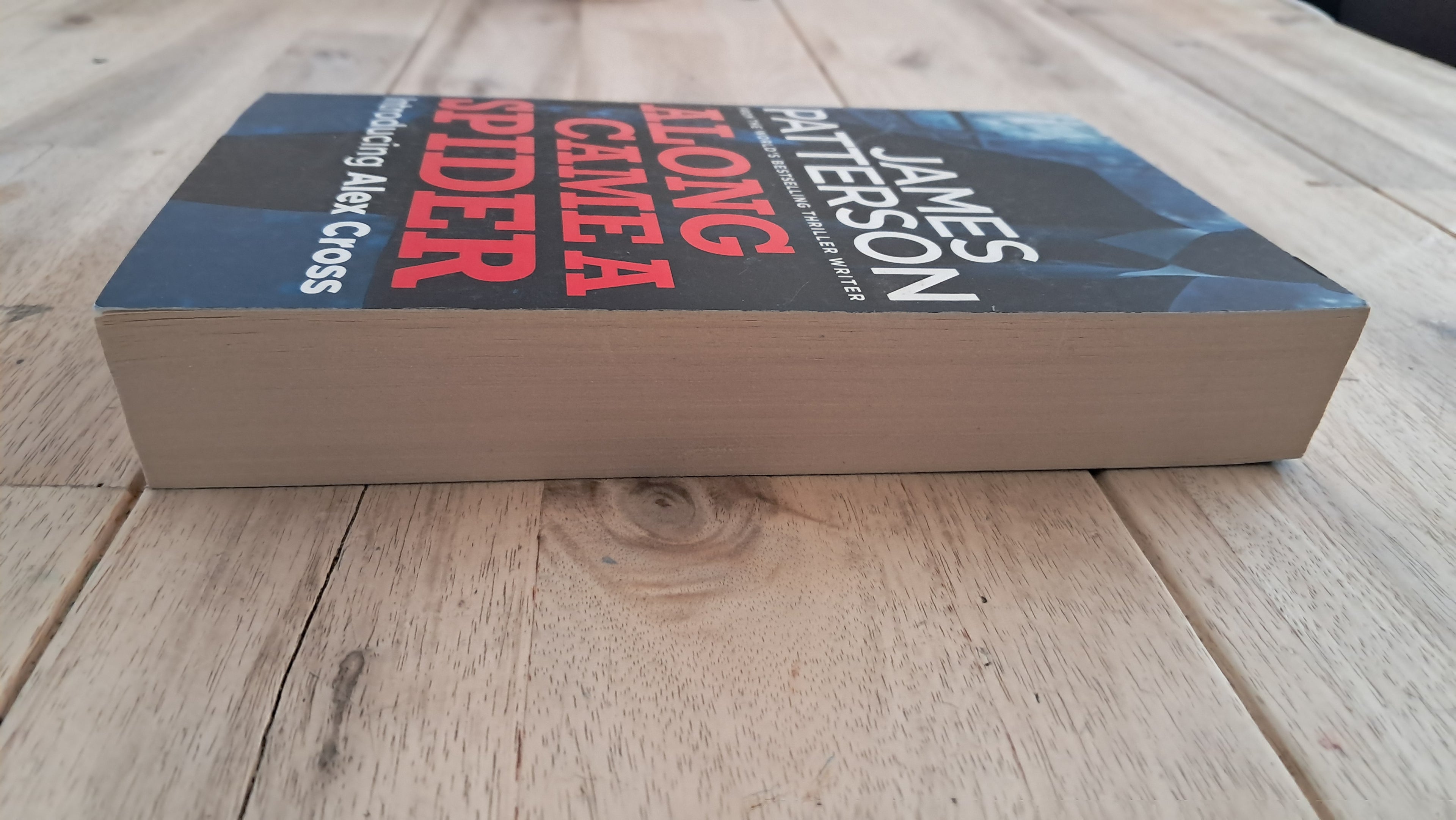 Along Came a Spider – James Patterson