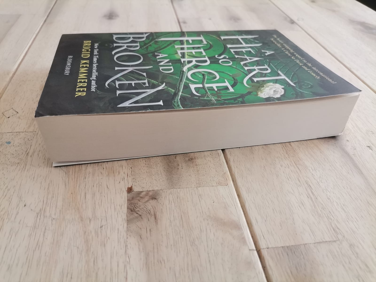 A Heart So Fierce and Broken – Brigid Kemmerer