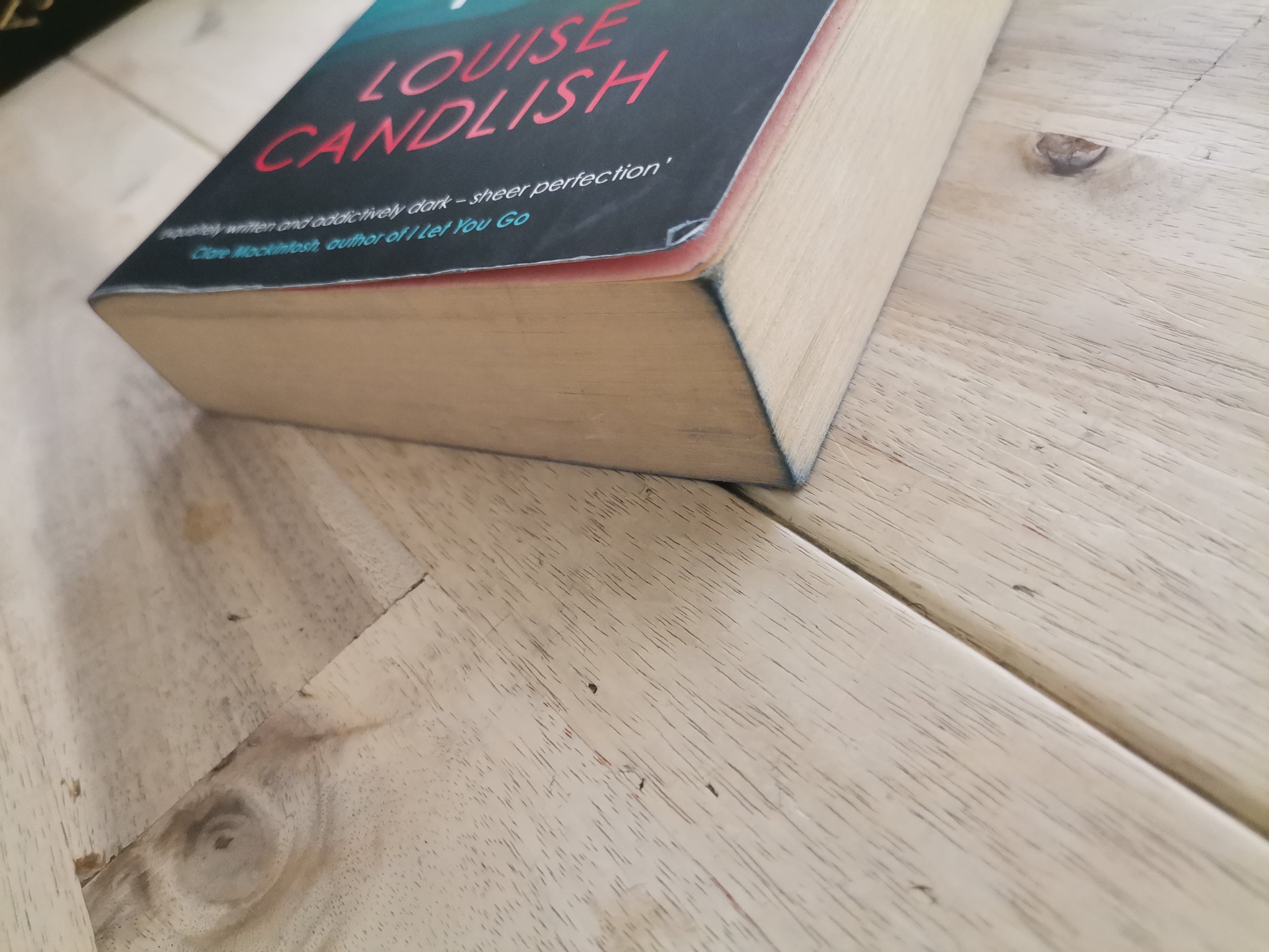 The Swimming Pool by Louise Candlish